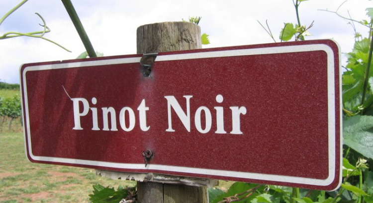 trinkreif-Paket des Monats: Pinot Noir