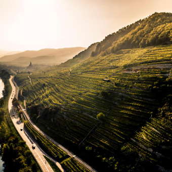 Weinankauf Wachau: Wir kaufen Smaragde von FX Pichler, Hirtzberger, Knoll, Prager etc.