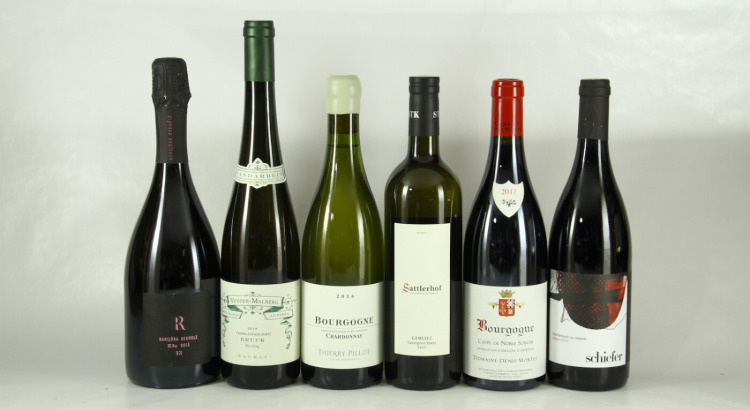 Preis-Leistungs-Favoriten Julius Neubauer