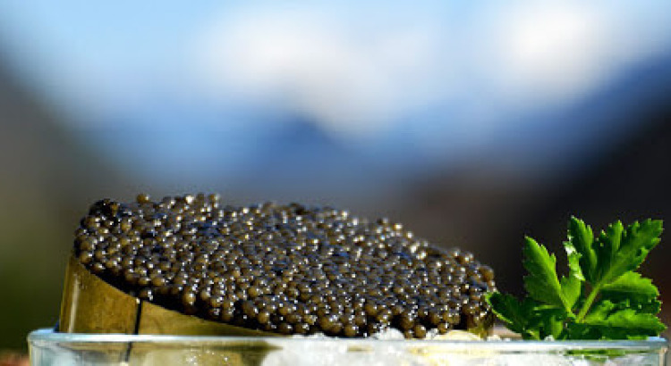 Kaviar & Champagner Pakete zum Valentinstag