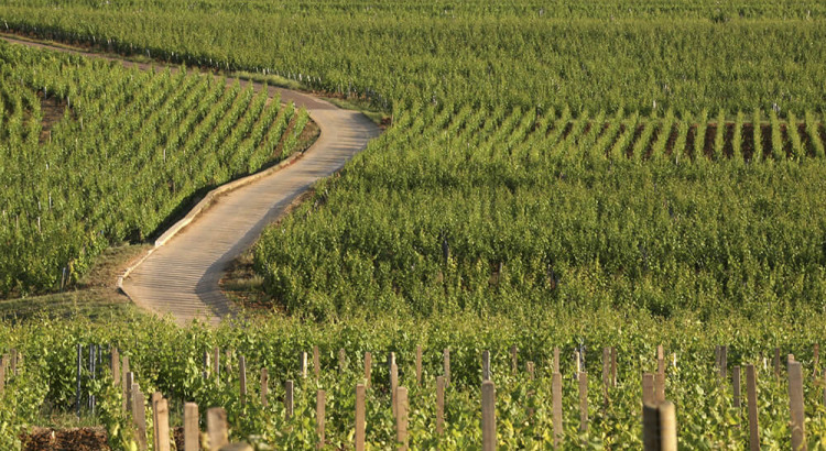 Mythos Burgund weiß mit Schwerpunktpreisliste