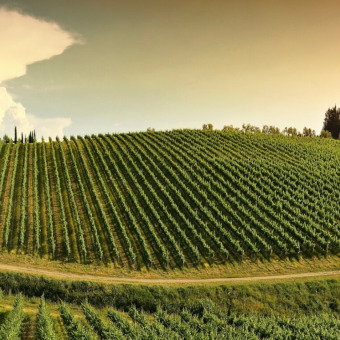 Schwerpunktpreisliste Toskana Mai 2025