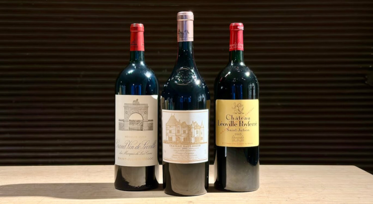 Bordeaux 2003 MAGNUM-Paket