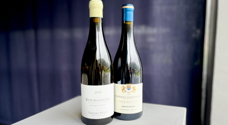 Weine des Monats: Hauswein Burgund rot & weiß