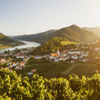 trinkreif Tipp: Restaurantempfehlungen Wachau