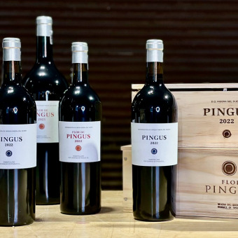 Dominio de Pingus 2022 - The best ever?