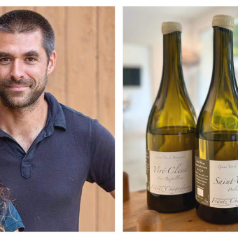 Domaine Frantz Chagnoleau aus dem Burgund