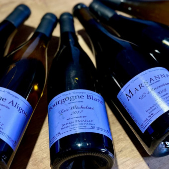 Domaine Sylvain Pataille – Marsannays Leuchtturm