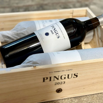 Dominio de Pingus 2023 - gerade eingetroffen!